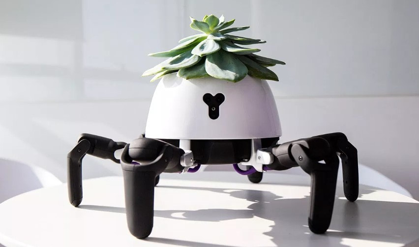 會幫你照料植物的六腳機械人.jpg 會幫你照料植物的六腳機械人.jpg