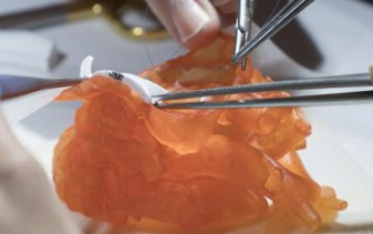 ScreenShot_2025-12-16_135039_800